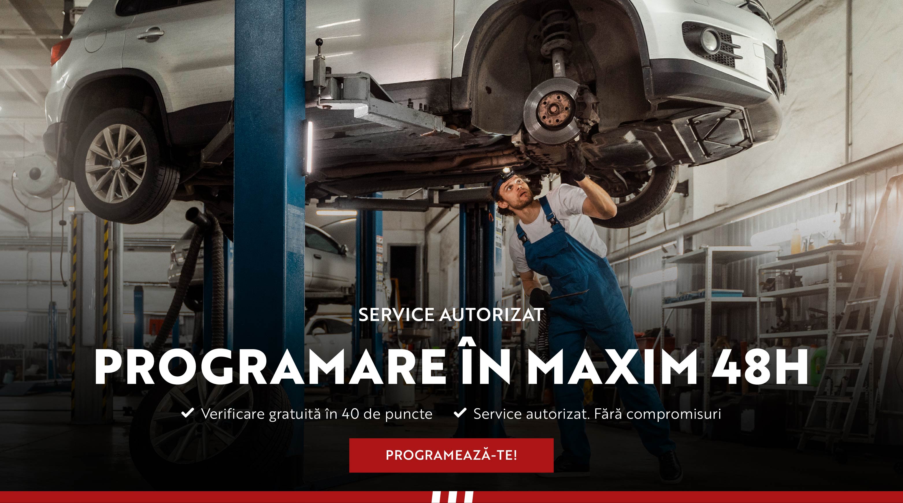 01 bannere website 01