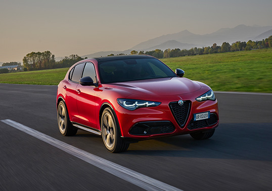 AR ContentGrid Technologies Stelvio Merchant 01