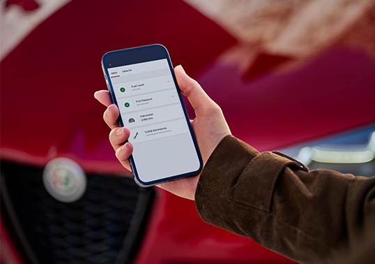 AR ContentGrid Technologies Stelvio Merchant 03