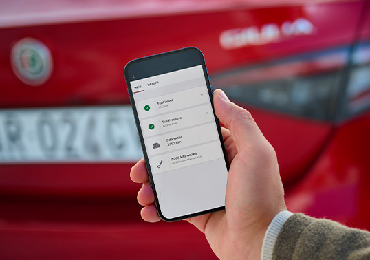 AR Giulia Merchant ContentGrid Technologies 03