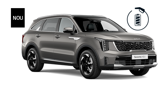 131 208 sorento hev my26